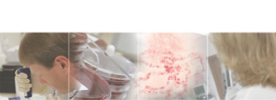 pathologists at work